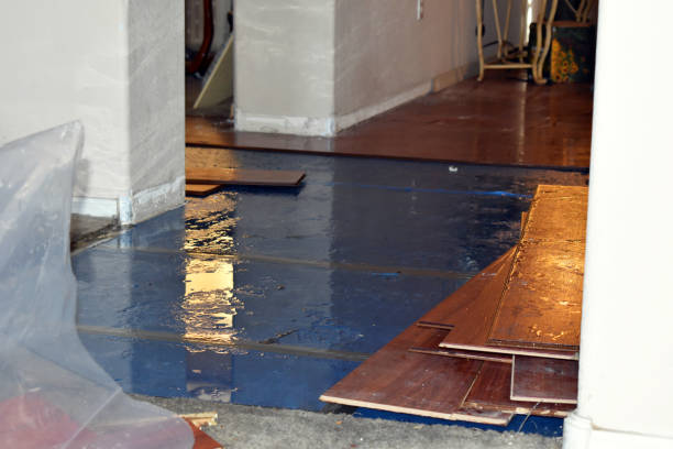 Professional Sewage Cleanup technician working in West, MS